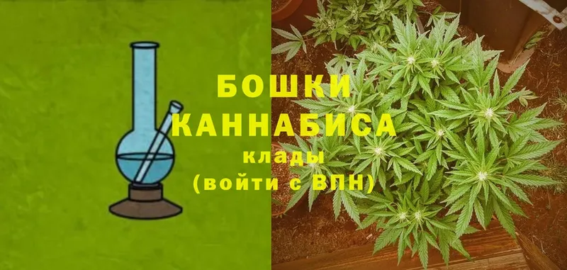 Бошки марихуана Bruce Banner  Октябрьский 